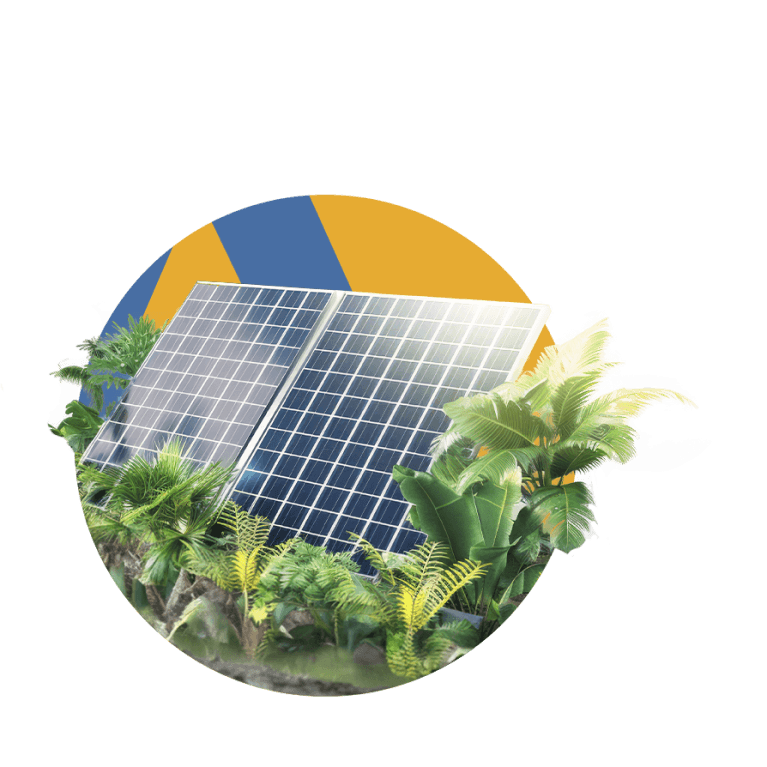 Energia Solar no Agronegócio