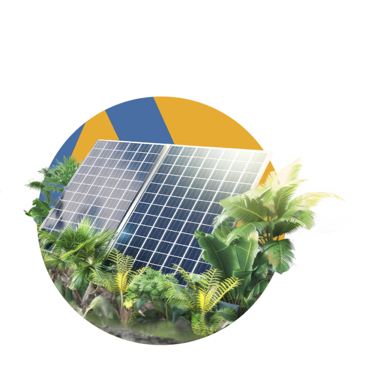 Energia Solar no Agronegócio